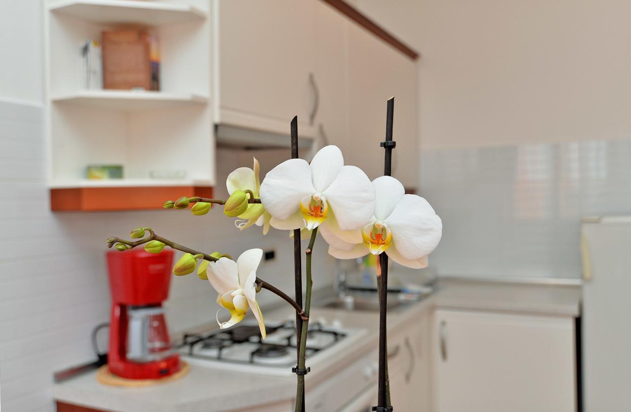Apartment Ljiljana 1553 Novigrad Istria Eksteriør bilde